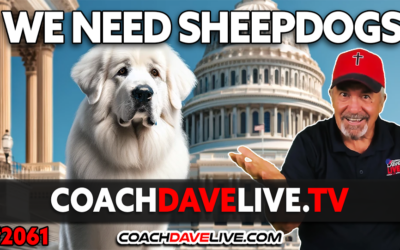 WE NEED SHEEPDOGS | 1-10-2024