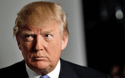 What is Your Solution?