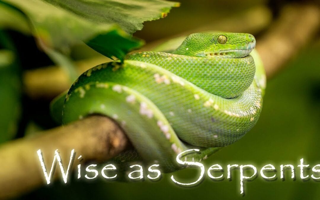 As Wise as a Serpent