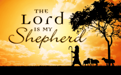 Lord is my Shepherd | Coach Dave LIVE | 6.25.2020